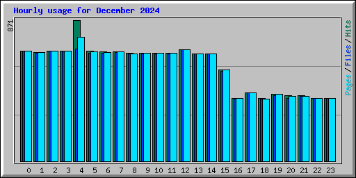 Hourly usage for December 2024