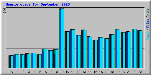 Hourly usage for September 2025