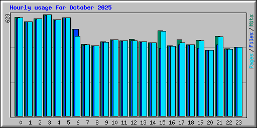 Hourly usage for October 2025
